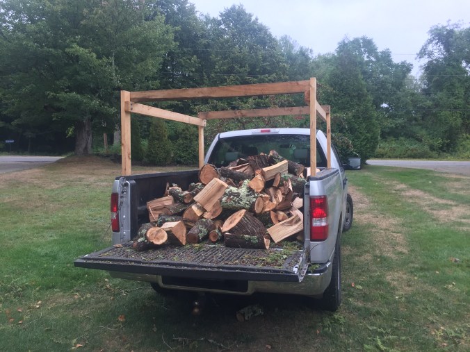 And now it's next year's firewood. Waste not want not.